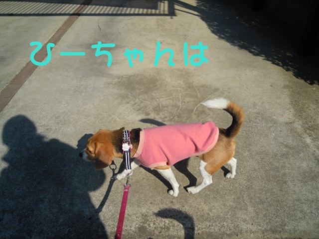 c0166622_10362697.jpg