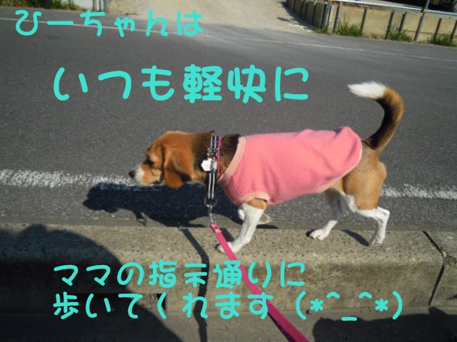 c0166622_10365763.jpg