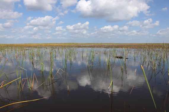 South Florida no.6_f0151222_1373197.jpg