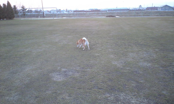 e0227023_21583.jpg