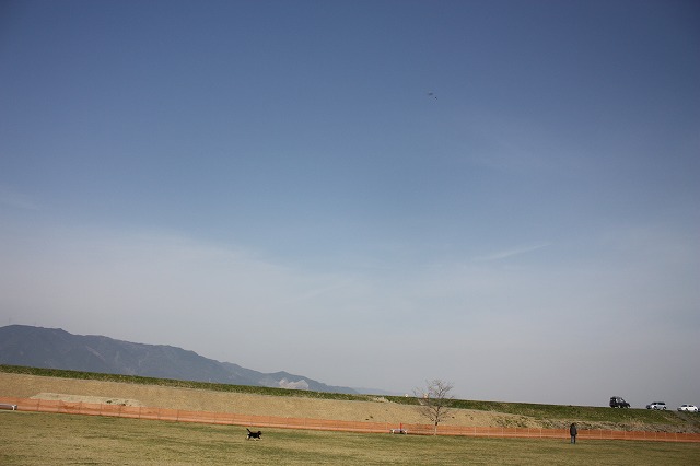 e0162524_1225124.jpg