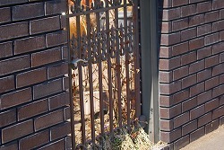 f0170524_12345517.jpg