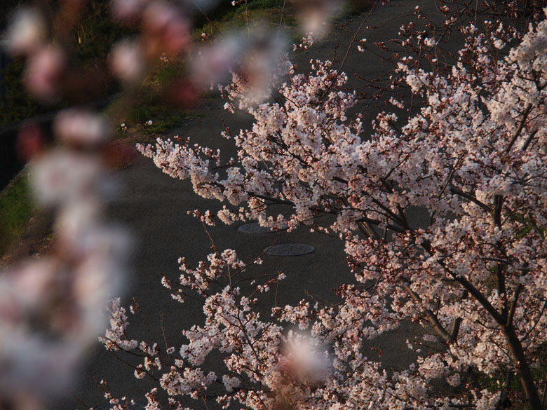 c0211429_20351453.jpg