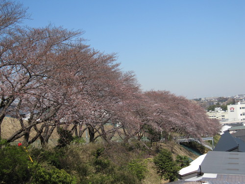 a0155430_16133886.jpg