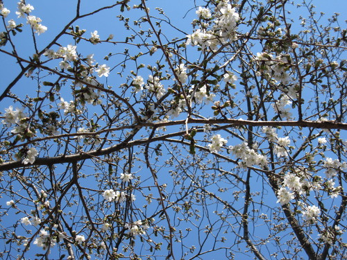 a0155430_169720.jpg