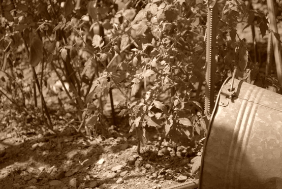 f0238332_14132021.jpg