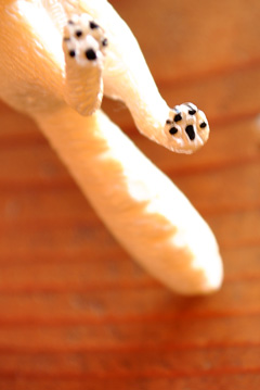 Schleichいろいろ_c0215933_1810348.jpg