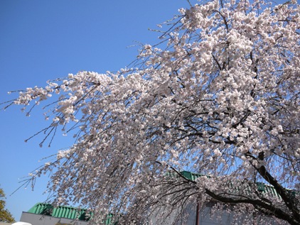 f0232136_725449.jpg