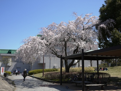 f0232136_7492587.jpg