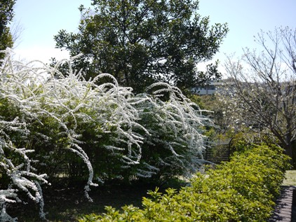 f0232136_764210.jpg