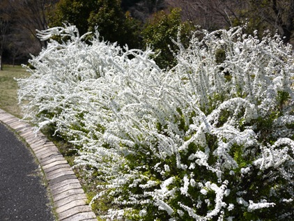 f0232136_772531.jpg