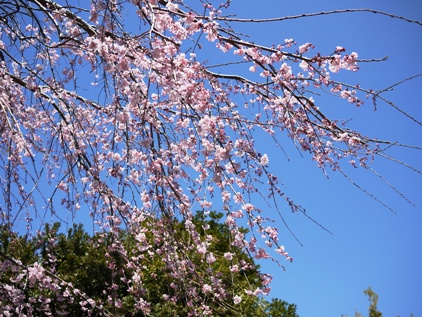 f0232136_781471.jpg
