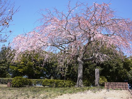 f0232136_78459.jpg