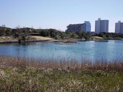 f0232136_842690.jpg
