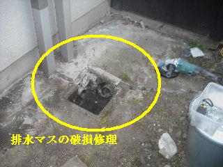 走る・・が仕事か。_f0031037_20114152.jpg