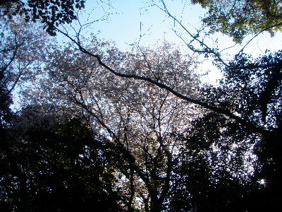 a0054240_21133841.jpg