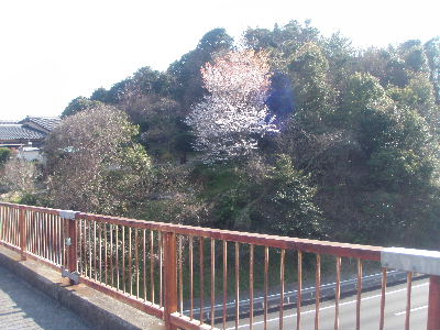 a0054240_2115936.jpg