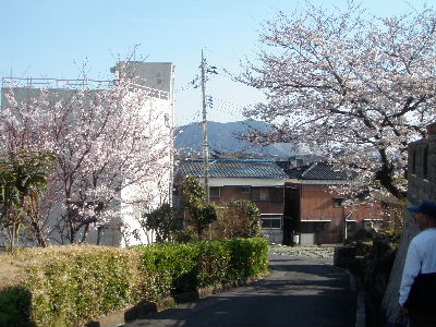 a0054240_21163710.jpg