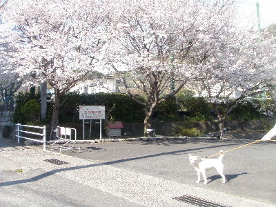 a0054240_21184862.jpg