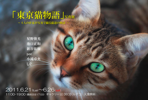 「東京猫物語」企画写真展_c0194541_1618502.jpg