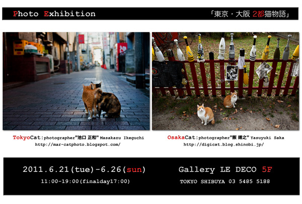 「東京猫物語」企画写真展_c0194541_16231721.jpg