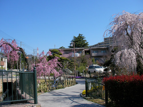 d0144550_19463117.jpg