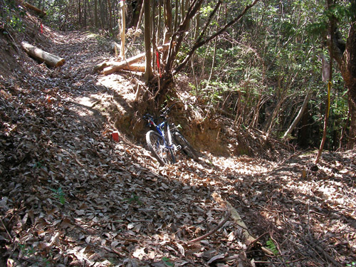 d0144550_20133220.jpg