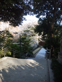 f0013255_32535.jpg