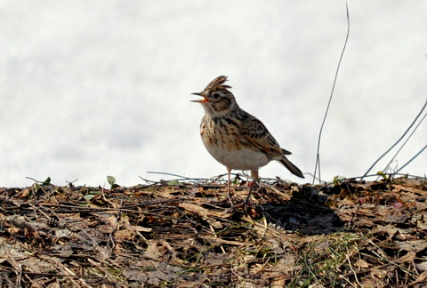 b0165760_19213451.jpg