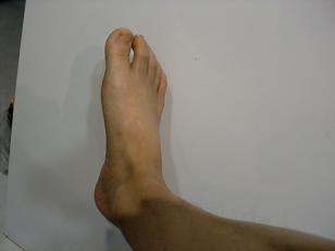 f0172281_6155322.jpg