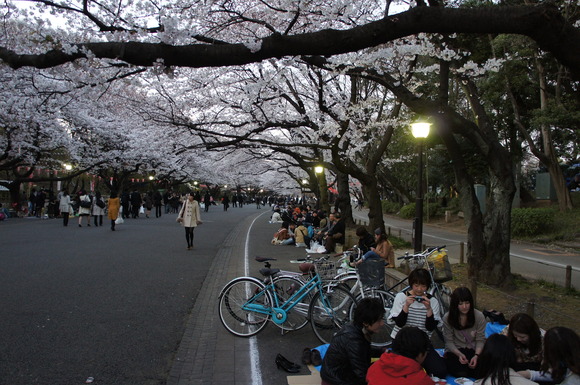 上野の山の見事な桜たち!_c0180686_14768.jpg