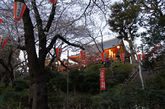 上野の山の見事な桜たち!_c0180686_16783.jpg