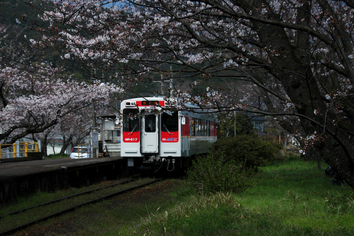 撮影ツアー_e0086887_236812.jpg