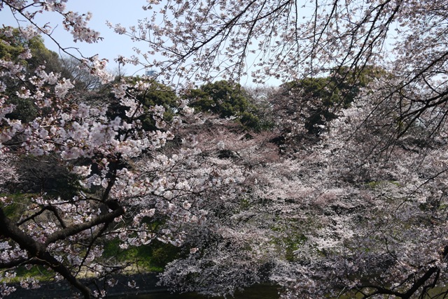 a0127090_21443636.jpg