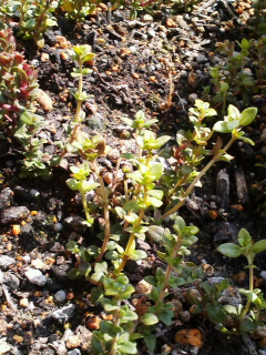 f0085291_18343768.jpg
