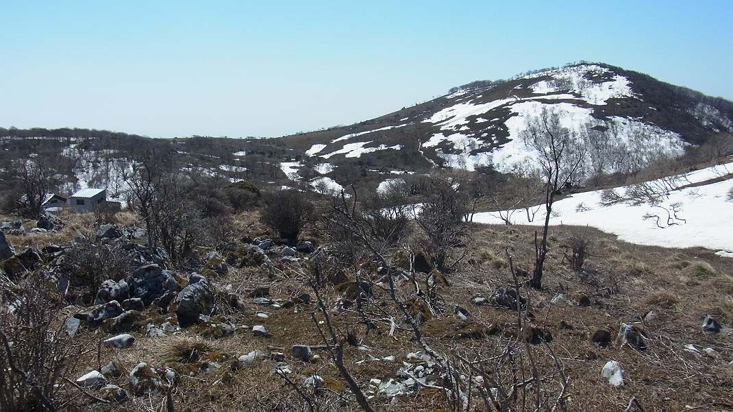 a0152692_18225462.jpg