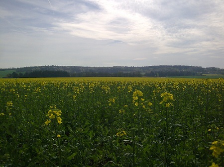 f0139994_16371922.jpg