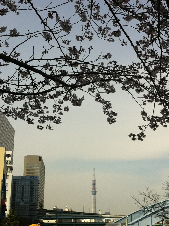 c0229500_17431074.jpg