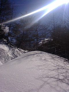 e0028904_1036999.jpg