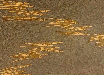 a0158805_154359.jpg