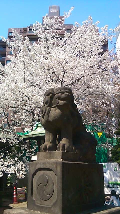 a0000006_0433732.jpg
