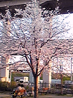 e0098908_21325723.jpg