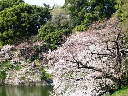 e0204508_1554559.jpg