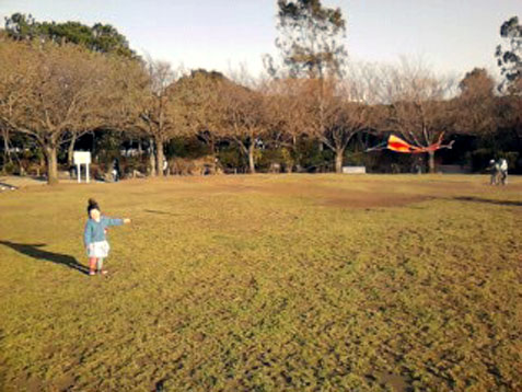 春_d0106911_1940502.jpg