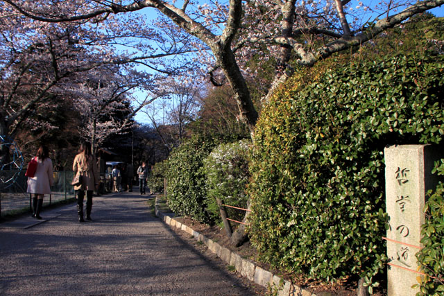 京の花だより 哲学の道_e0048413_20161854.jpg