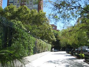 f0135018_8332364.jpg