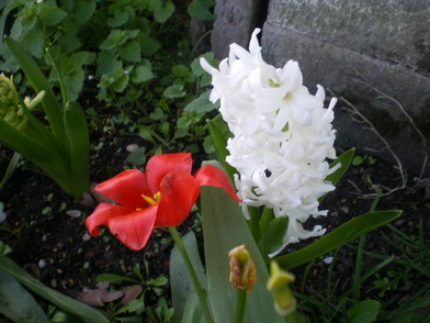c0124619_5243930.jpg