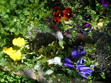 c0124619_5252235.jpg