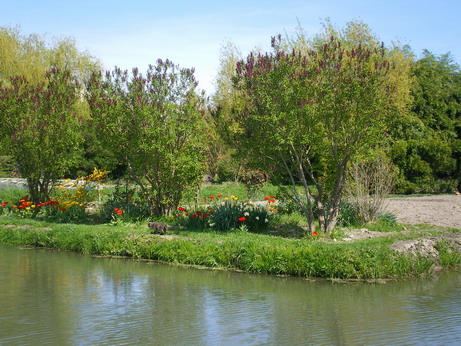 c0124619_5394788.jpg