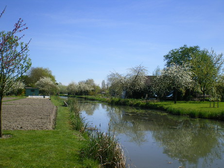 c0124619_539573.jpg